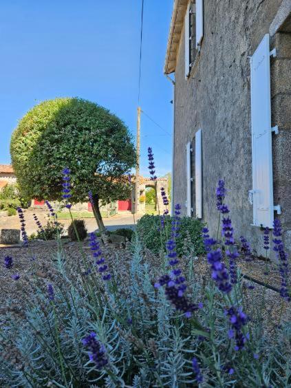 Holiday home La Commanderie Grand 10kms 